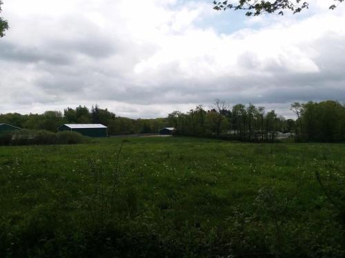 Gallery image of Tentrr - Meadow Ridge Farm Woods in Litchfield