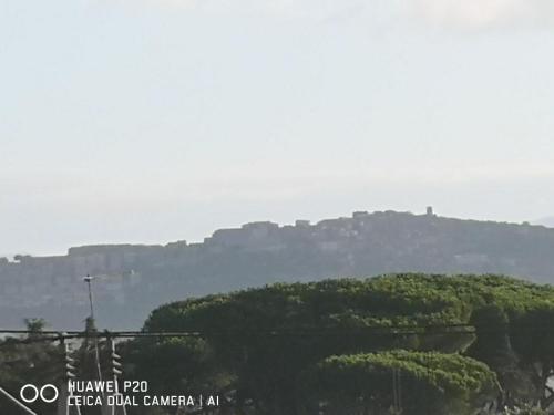a view of a hill with trees and a castle at APE REGINA Rignano Gramsci in Rignano Flaminio