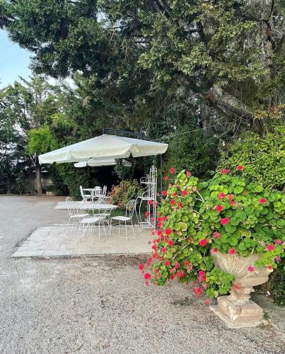 B&B Tenuta Paradisi – Photos 3