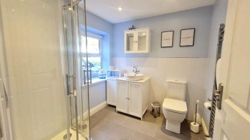 uma casa de banho com um WC, um lavatório e um chuveiro em The Workshop, Bridge House em Laxey