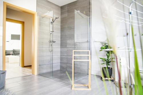 a shower with a glass door in a bathroom at Haff Ostseeferienhaus unteres Apartment in Mönkebude