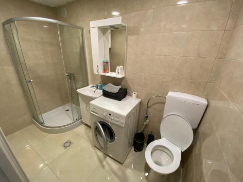 a bathroom with a toilet and a sink and a shower at Apartman ROKAN in Daruvar