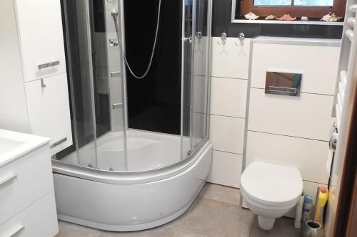 a white bathroom with a shower and a toilet at Przestronny Dom w gorach w sercu Karkonoszy in Przesieka