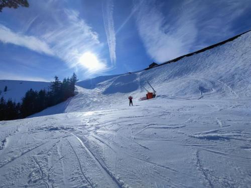 une personne fait du ski sur une piste enneigée dans l'établissement Logement 6 pers au cœur des montagnes pyrénéennes, à Boutx