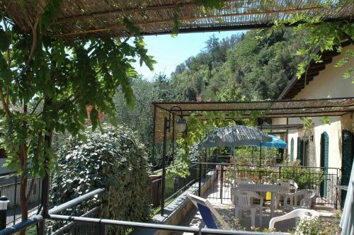 Κήπος έξω από το Hotel Lago Bin