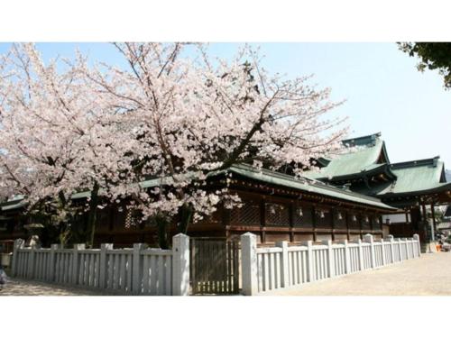 Eins,Inn Umeda Higashi - Vacation STAY 29915v