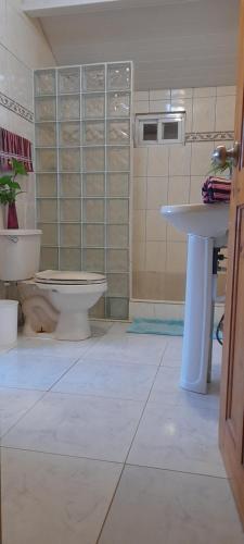 a bathroom with a toilet and a sink at Casa Grande Retiro para grupos in Cerro Azul