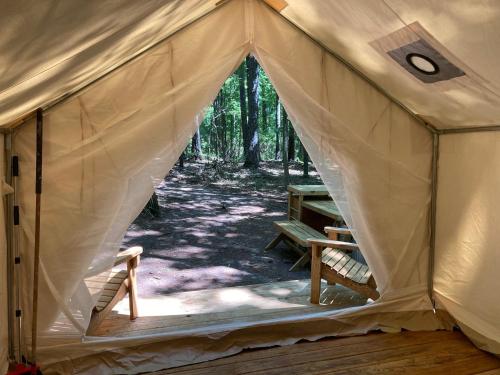 a tent with a view of a forest at Tentrr Signature Site - Herb'n Soul Sanctuary in Stone Mountain