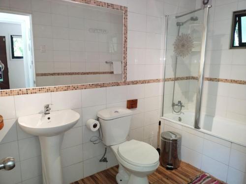uma casa de banho com um WC, um lavatório e um chuveiro em Cabañas Nordic lodge em Chillán
