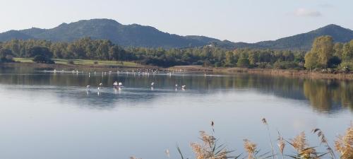 ゲストハウスの近くで見られる自然の景観