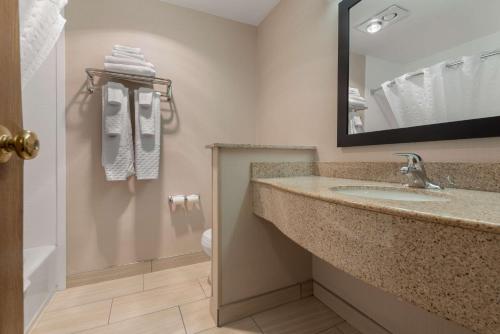 a bathroom with a sink and a mirror at Best Western University Inn in Ithaca