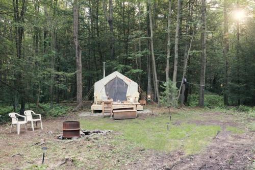 Tentrr - GoldMine Hideaway – Photos 3