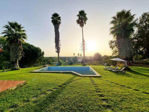 uma piscina num quintal com palmeiras em Fantástica Casa de Campo com Piscina perto de Lisboa em Santarém