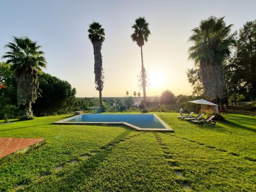 einen Pool in einem Garten mit Palmen in der Unterkunft Fantástica Casa de Campo com Piscina perto de Lisboa in Santarém