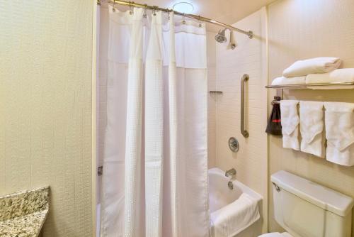 a bathroom with a shower curtain and a toilet at Crowne Plaza Indianapolis-Dwtn-Union Stn, an IHG Hotel in Indianapolis