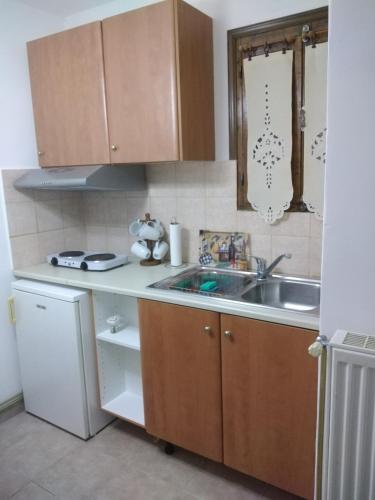 a small kitchen with a sink and a dishwasher at Ξενώνας Το Πέτρινο 2 in Keramídhion