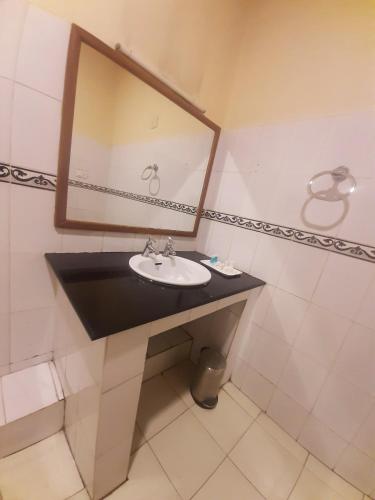 a bathroom with a sink and a mirror at Casino Hotels Ltd in Trichūr