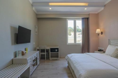 een slaapkamer met een bed, een bureau en een televisie bij Hotel Villa Emitta in Tomohon
