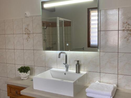 a bathroom with a white sink and a mirror at Gîte Bar-le-Duc, 4 pièces, 6 personnes - FR-1-585-88 in Bar-le-Duc