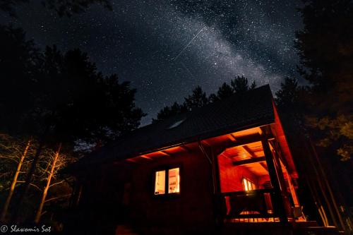 a cabin in the woods at night with a starry sky at Łosia Chata in Grzybowce