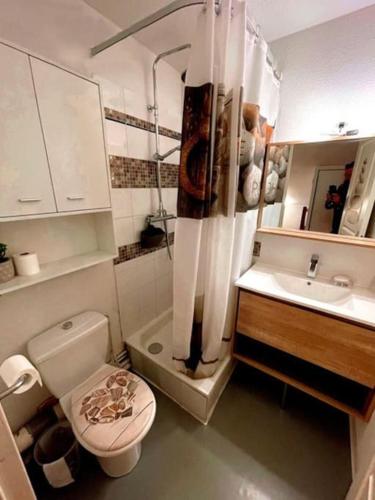 une petite salle de bain avec toilettes et lavabo dans l'établissement Appartement de 32m² au cœur de la Joue du Loup, à Saint-Étienne-en-Dévoluy
