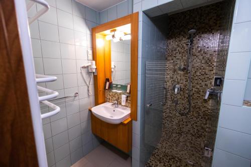 a bathroom with a sink and a shower at Hotel Club Tisza in Lakitelek