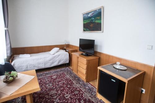 Opitzův dům في براغ: غرفة صغيرة فيها سرير وتلفزيون