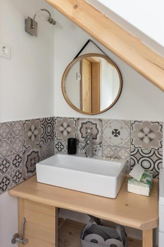 a bathroom with a white sink and a mirror at Captain's Lodge in Bohinj