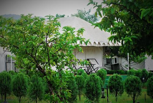 a white house with a pool in front of it at Jungle Book Ranthambore in Sawāi Mādhopur