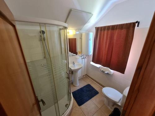 ein Bad mit einer Dusche, einem WC und einem Waschbecken in der Unterkunft Casa Pescarilor in Lunca
