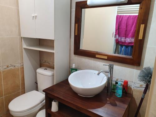 a bathroom with a sink and a toilet and a mirror at Appart A climatisé sur Coursan in Coursan