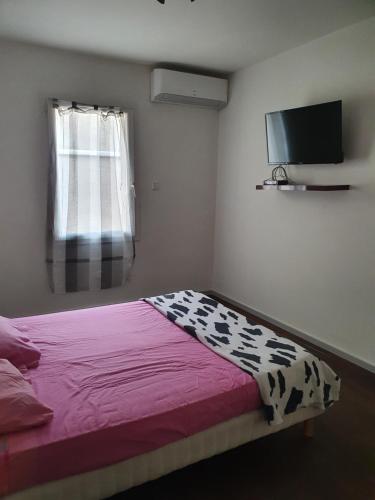 a bedroom with a bed and a flat screen tv at Appart A climatisé sur Coursan in Coursan