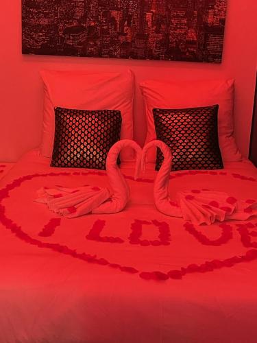 dos flamencos rosas acostados en una cama con corazón en SPA Enzo Appartement avec Jacuzzi Privatif, en Lyon