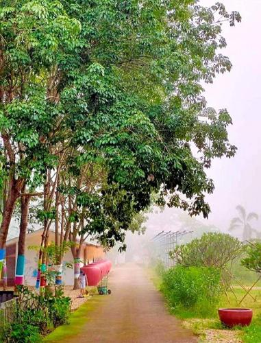 a dirt road with trees on either side of it at ฮักฮิมเกี๋ยน รีสอร์ท น่าน Hug Him Kien in Nan