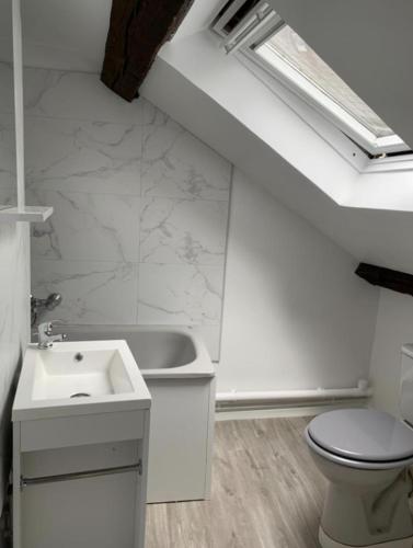 une salle de bain avec un lavabo et des toilettes dans l'établissement T2 duplex centre Orléans cour, à Orléans