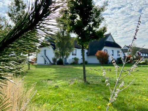 ein Haus in einem Hof mit einem Baum im Vordergrund in der Unterkunft Friesenhof Hotel-Restaurant-Reitanlage in Trassenheide