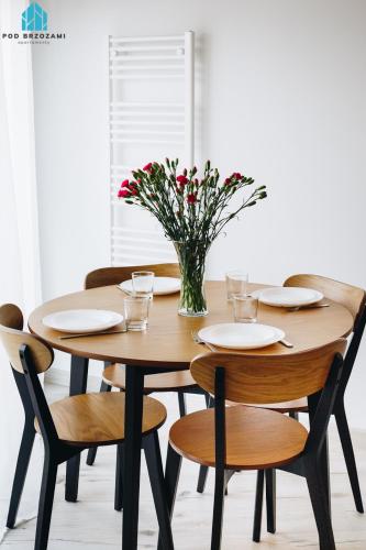 Pod Brzozami Apartamenty Wiejska