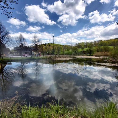 a large pond of water with clouds in the sky at Hotel Helios in Lipova Lazne