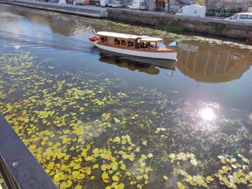 アパートメントの近くを流れる川の景色