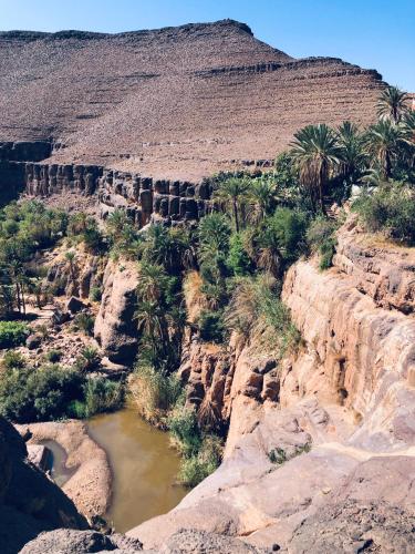 a view of a canyon with a river and palm trees at Maison d'Hôtes Irocha in Tisselday