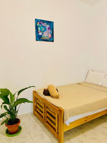 Eel Garden House – Photos 2