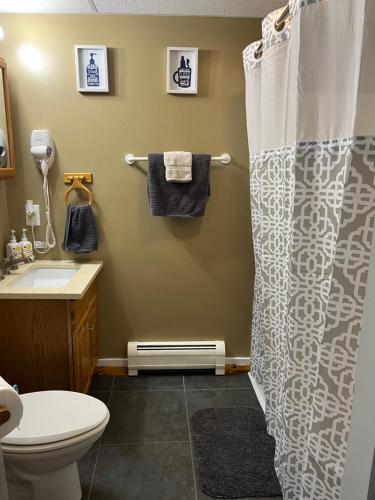 a bathroom with a shower curtain and a toilet at Perfect Getaway Spot in the Northeast Kingdom in North Troy