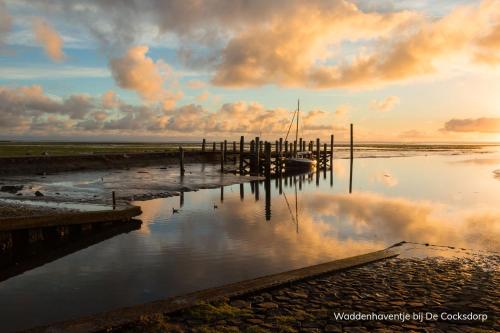 a dock with a boat in the water at sunset at Hotel Molenbos Texel in De Cocksdorp