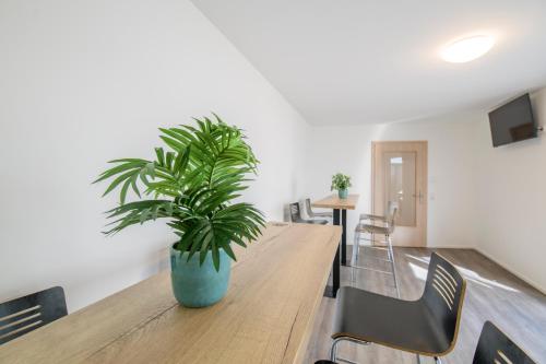 a plant sitting on a wooden table in a room at Smart & Stay Aparthotel Saarbrücken Süd - Self-Check-In - Free Parking in Saarbrücken