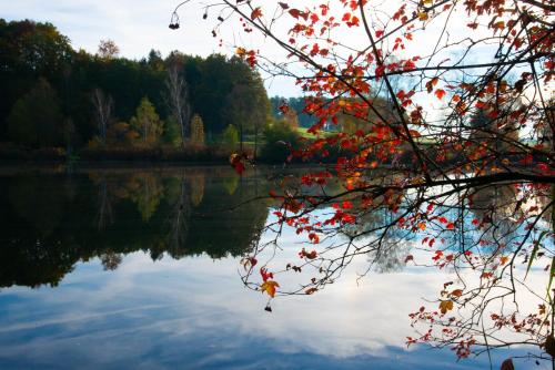 a view of a lake with autumn leaves on a tree at Seehof direkt am See in Seeleiten