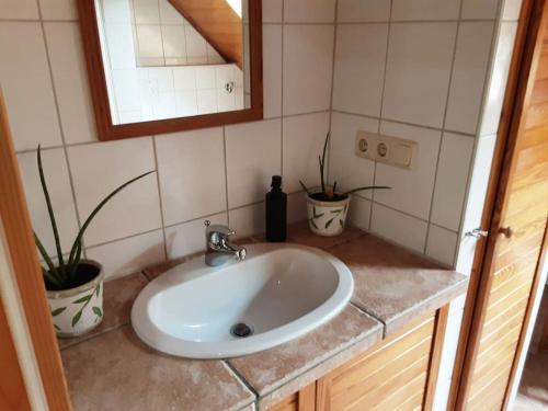 a bathroom sink with two potted plants and a mirror at Bruno's Ferienwohnung in Gerolzhofen in Gerolzhofen