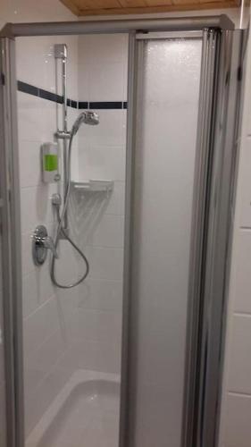 a shower in a bathroom with a glass door at Wohnung Am Fuße des Steigerwaldes in Gerolzhofen