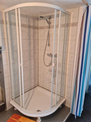 a shower with a glass enclosure in a bathroom at Ferienwohnungen Fam. Bartl in Bad Suderode