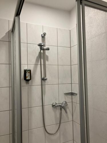 a shower with a glass door in a bathroom at Room-24 - Zellwald in Großschirma