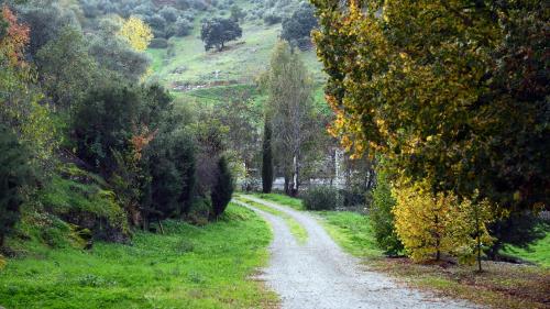 a dirt road in the middle of a field at Los Pozos de la Nieve in Constantina